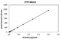 Eurofins DiscoverX PTPMEG-2 Protein 10 &mu;g | Buy Online | Eurofins DiscoverX | Fisher Scientific